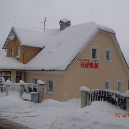 Penzion Hamrak Ceske Hamry Dış mekan fotoğraf