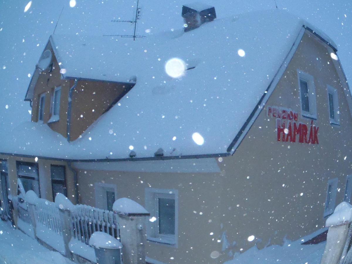 Penzion Hamrak Ceske Hamry Dış mekan fotoğraf