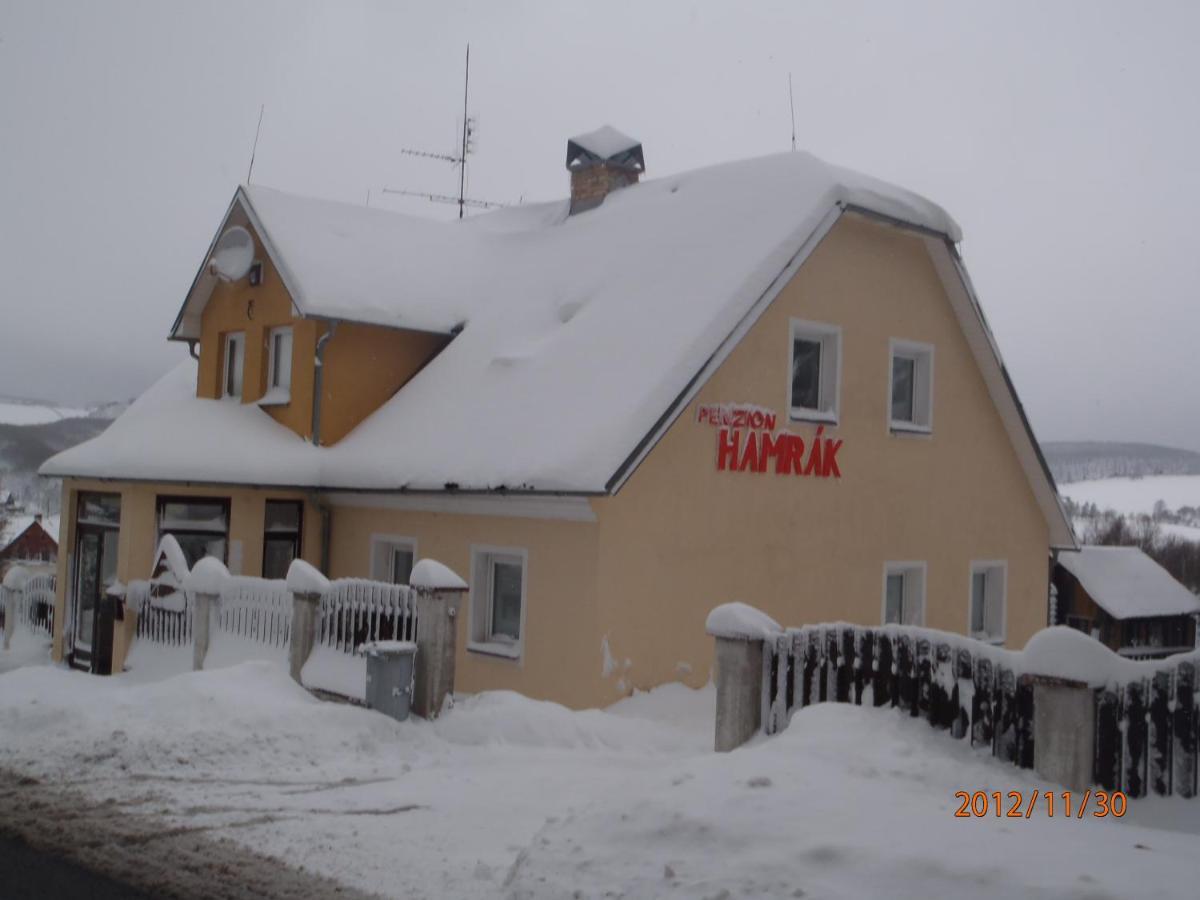 Penzion Hamrak Ceske Hamry Dış mekan fotoğraf